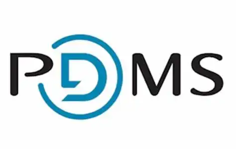 PDMS