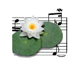 LilyPond